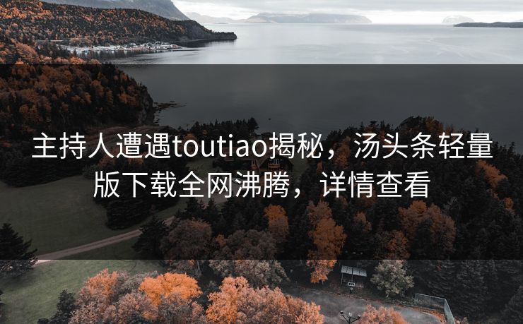 主持人遭遇toutiao揭秘，汤头条轻量版下载全网沸腾，详情查看