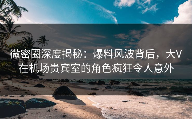 微密圈深度揭秘：爆料风波背后，大V在机场贵宾室的角色疯狂令人意外