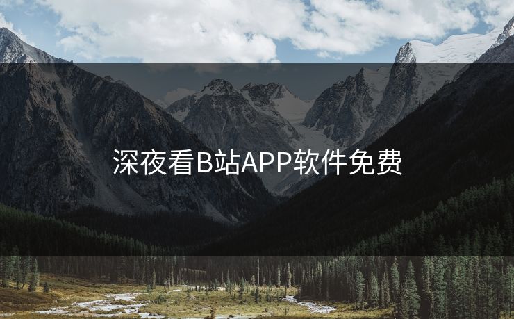 深夜看B站APP软件免费