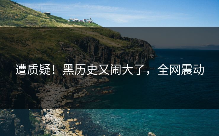遭质疑！黑历史又闹大了，全网震动