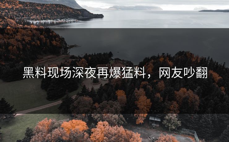 黑料现场深夜再爆猛料，网友吵翻