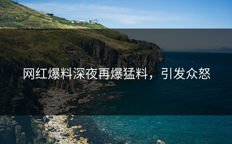 网红爆料深夜再爆猛料，引发众怒
