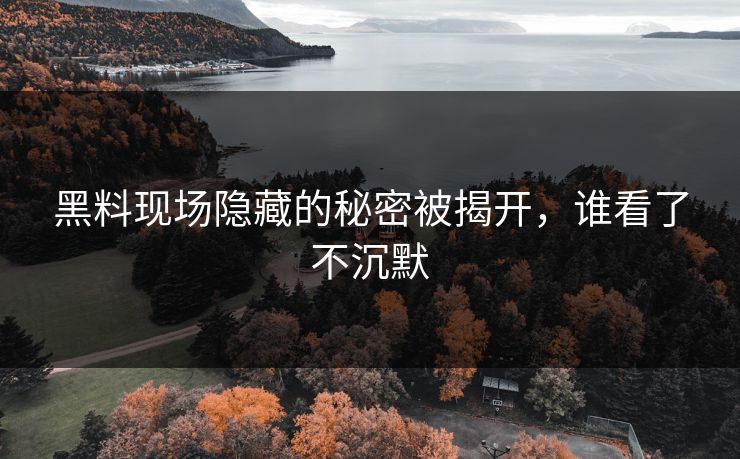 黑料现场隐藏的秘密被揭开，谁看了不沉默