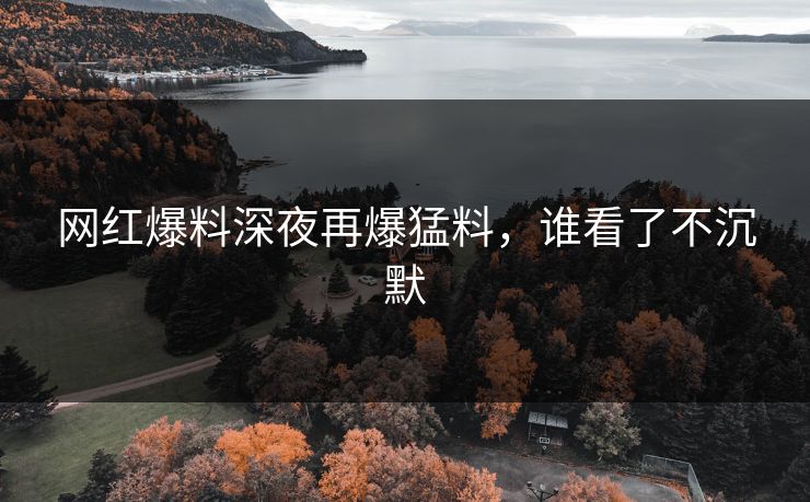 网红爆料深夜再爆猛料，谁看了不沉默