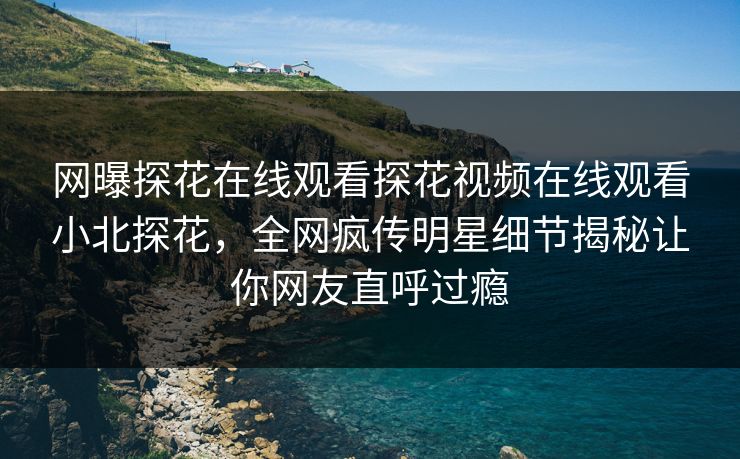 网曝探花在线观看探花视频在线观看小北探花，全网疯传明星细节揭秘让你网友直呼过瘾