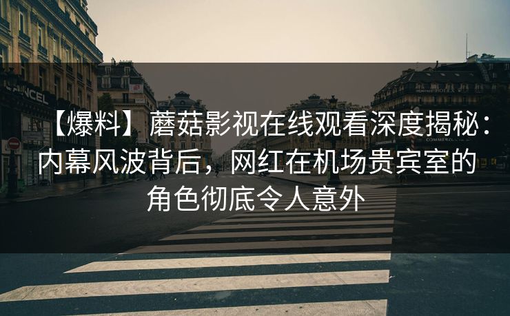 【爆料】蘑菇影视在线观看深度揭秘：内幕风波背后，网红在机场贵宾室的角色彻底令人意外