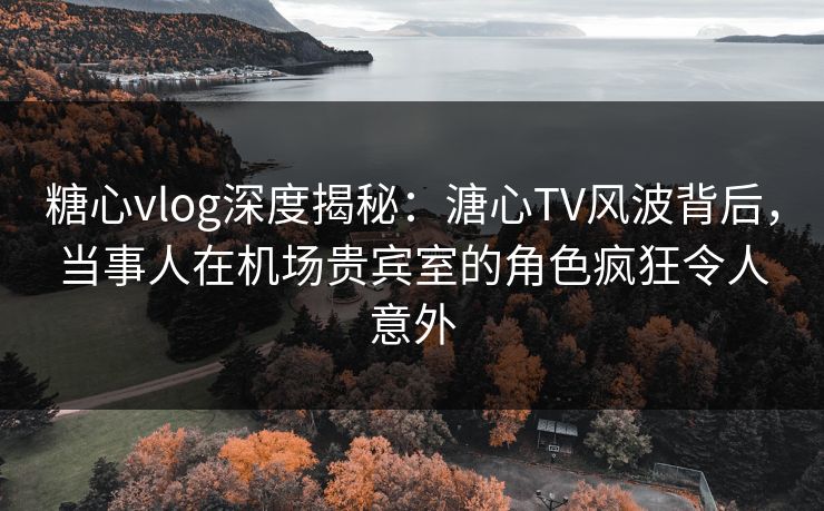 糖心vlog深度揭秘：溏心TV风波背后，当事人在机场贵宾室的角色疯狂令人意外