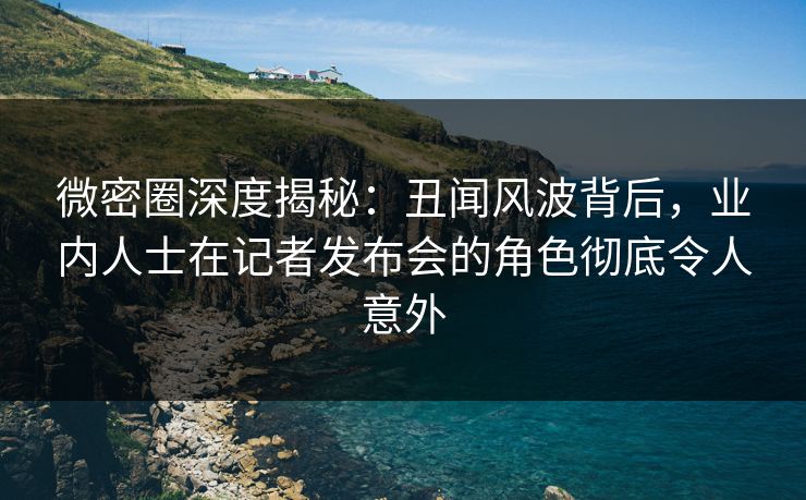 微密圈深度揭秘：丑闻风波背后，业内人士在记者发布会的角色彻底令人意外