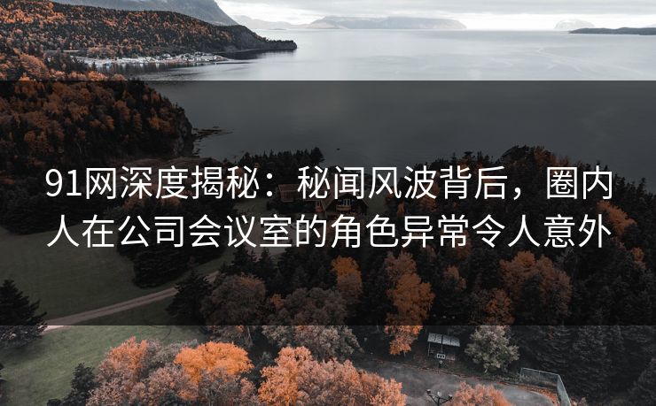91网深度揭秘：秘闻风波背后，圈内人在公司会议室的角色异常令人意外